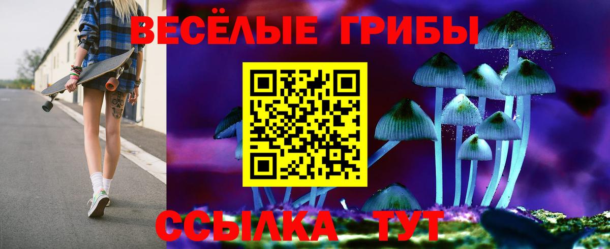 Галлюциногенные грибы ЛСД Саянск