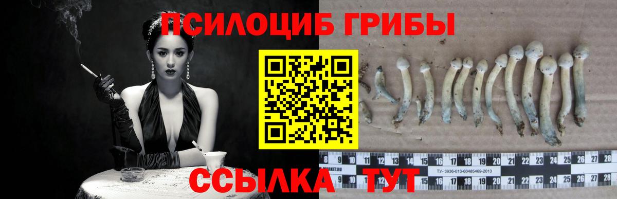 хочу наркоту  Псилоцибиновые грибы мицелий  Вход с VPN  Саянск 